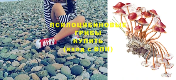 прущий лед Аркадак