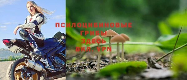 прущий лед Аркадак